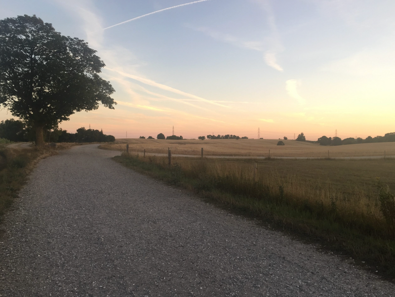 Fælledtur