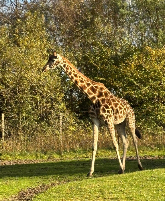 Zoo